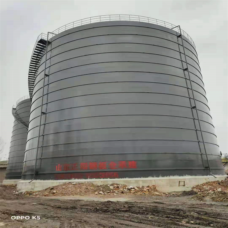 畜禽良种场3万吨大型钢板库