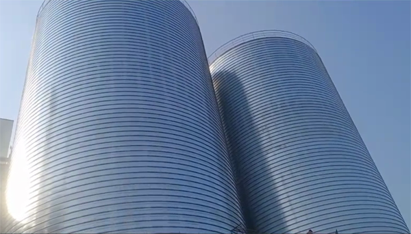 畜禽良种场2座混凝土高架卷板仓