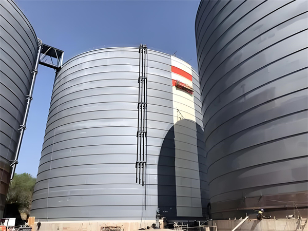 畜禽良种场焦粉仓