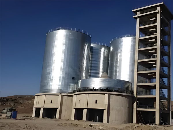 畜禽良种场球团仓